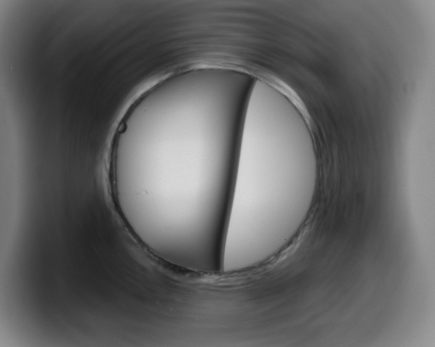 X0000099521146200805151027