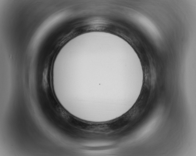 X0000099521150200805151027