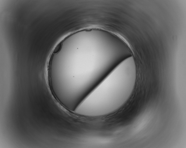 X0000099521151200805151027