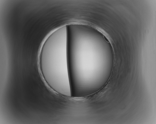 X0000099521152200805151027