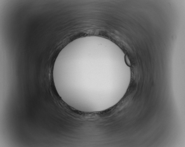 X0000099521154200805151026
