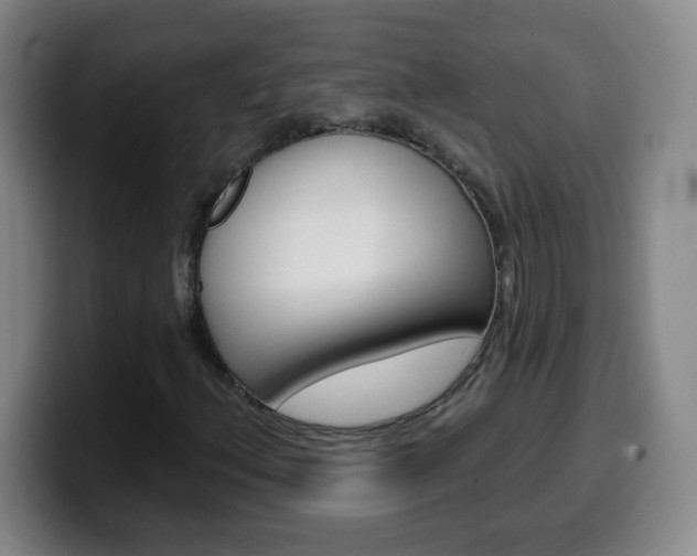 X0000099521156200805151026
