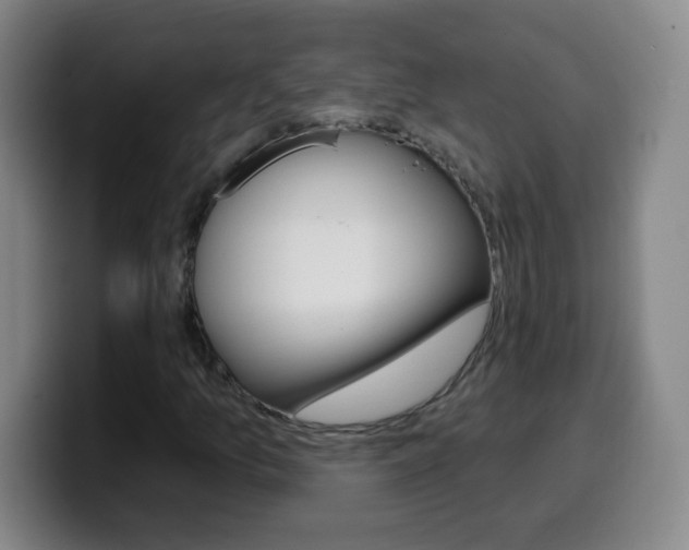 X0000099521157200805151026