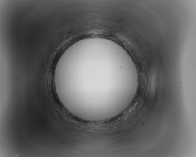 X0000099521158200805151026