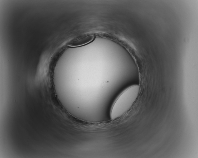 X0000099521159200805151026