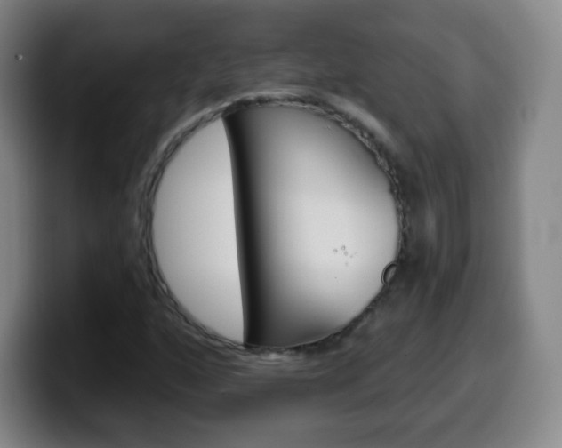 X0000099521160200805151026