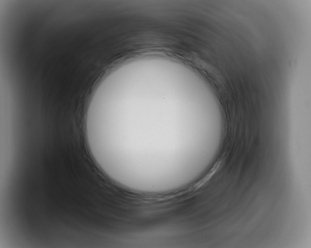 X0000099521161200805151026