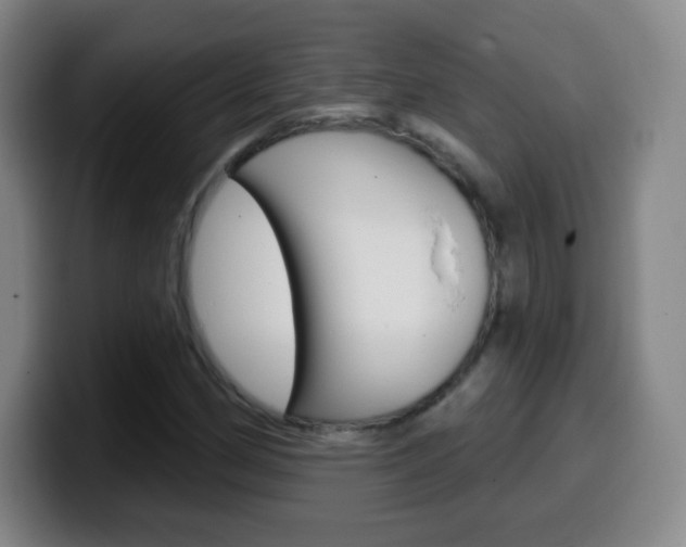 X0000099521162200805151026