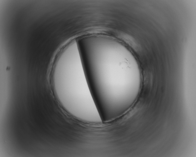 X0000099521164200805151026