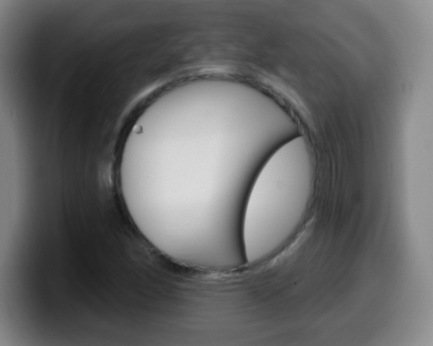 X0000099521166200805151026