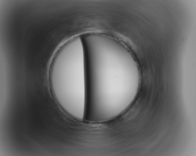 X0000099521168200805151026