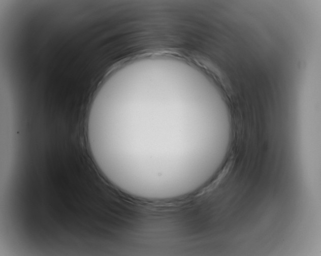 X0000099521169200805151026
