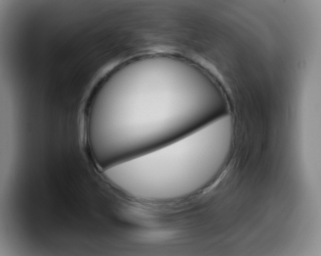 X0000099521171200805151026