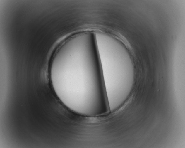 X0000099521172200805151026