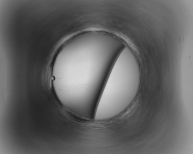 X0000099521175200805151026