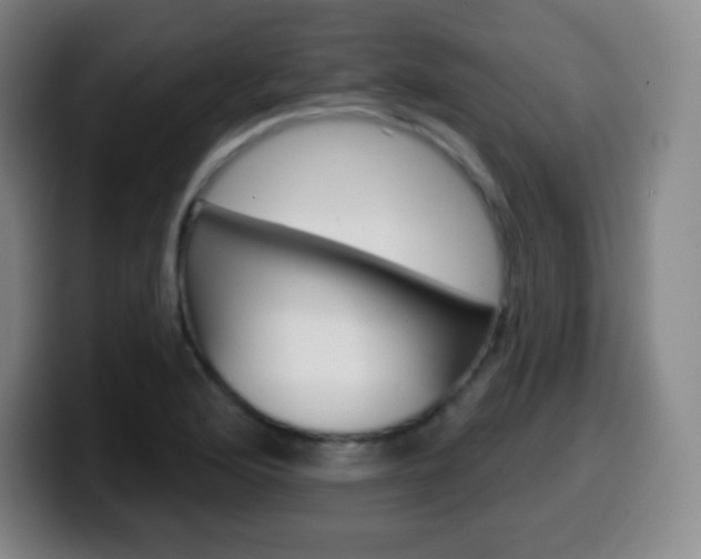 X0000099521176200805151026