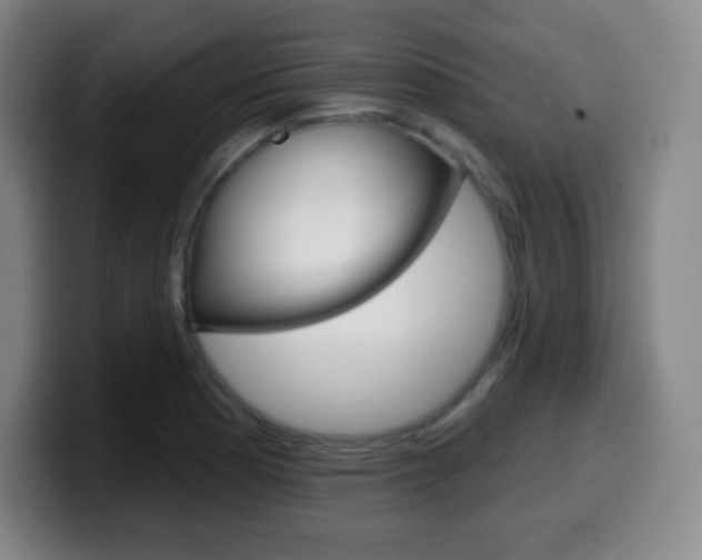 X0000099521177200805151026