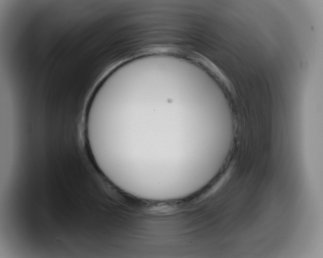 X0000099521178200805151026