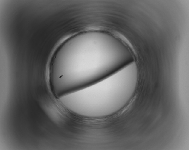 X0000099521179200805151026
