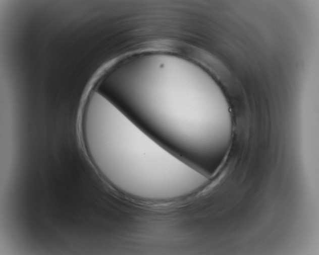 X0000099521180200805151026