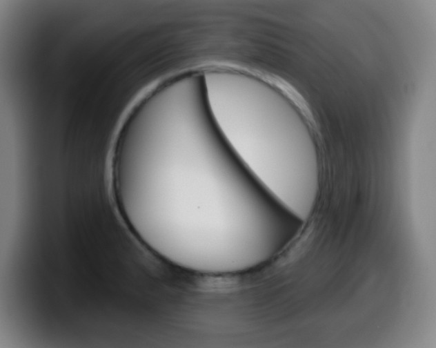 X0000099521183200805151026