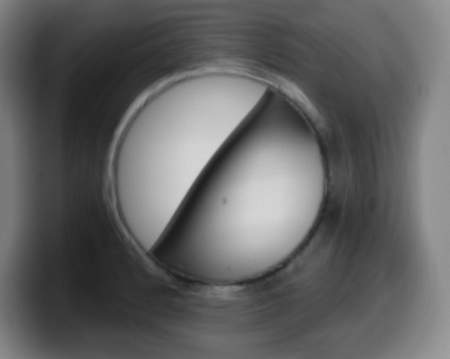 X0000099521184200805151026