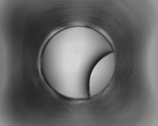 X0000099521187200805151026