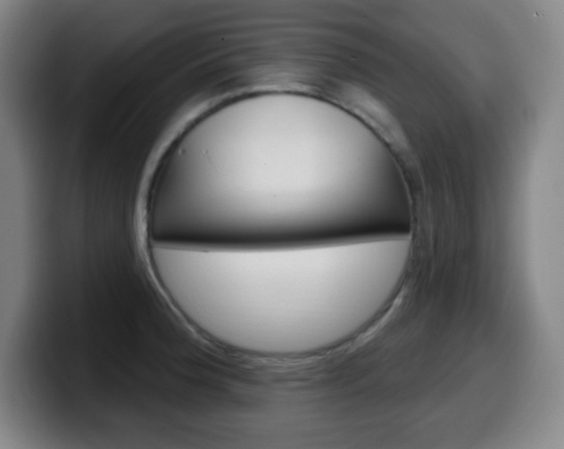 X0000099521188200805151026