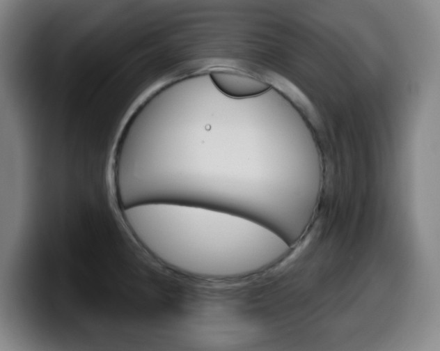 X0000099521190200805151026