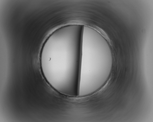 X0000099521192200805151026