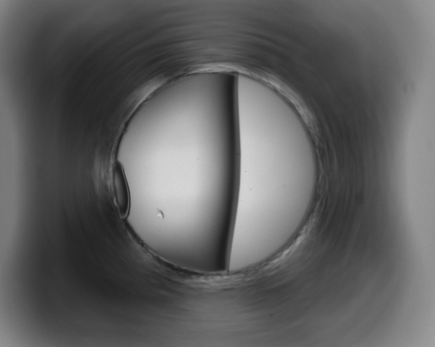 X0000099521193200805151026