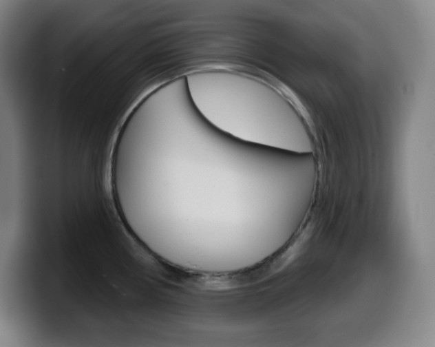 X0000099521194200805151026
