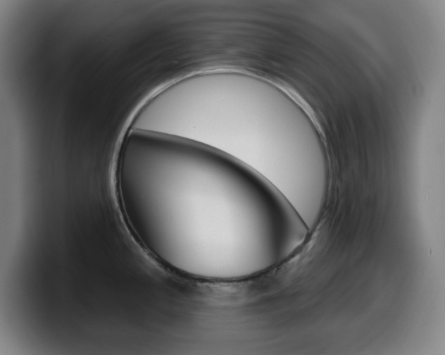 X0000099521197200805151026