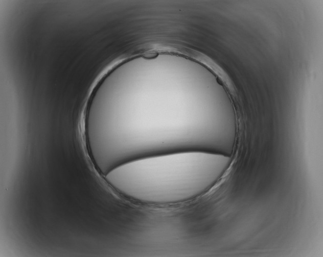 X0000099521198200805151026