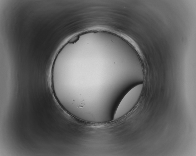 X0000099521199200805151026