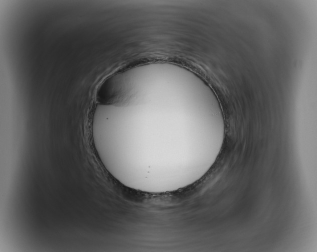 X0000099521201200805151025