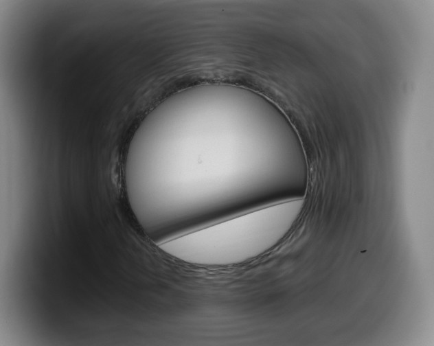 X0000099521202200805151025