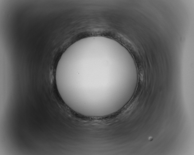 X0000099521204200805151025