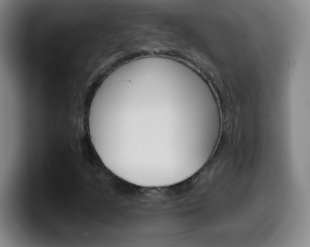 X0000099521205200805151025