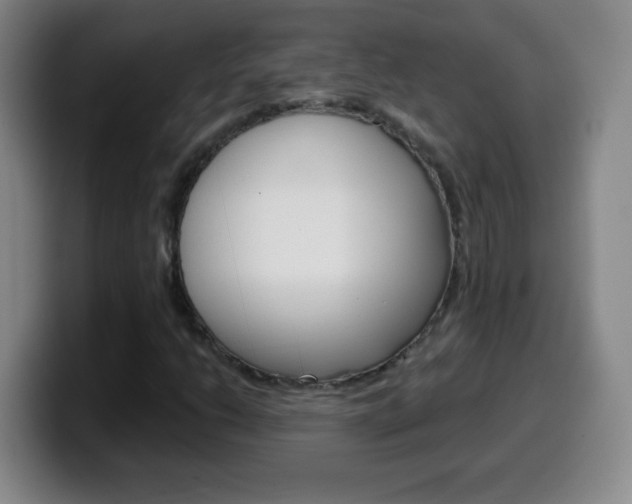 X0000099521206200805151025