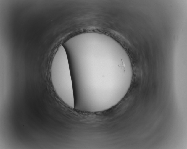 X0000099521207200805151025