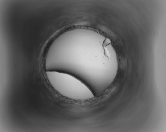 X0000099521208200805151025