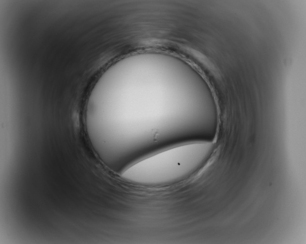 X0000099521209200805151025