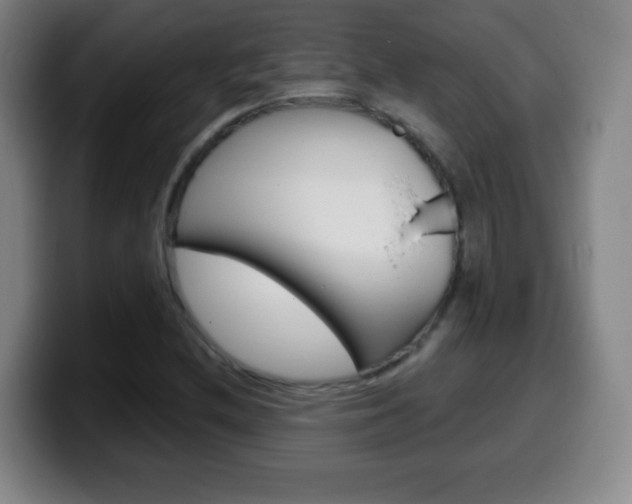 X0000099521212200805151025