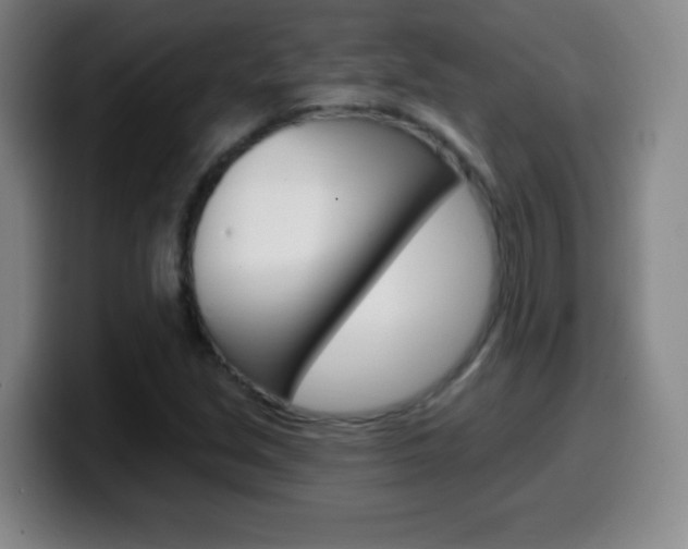 X0000099521213200805151025