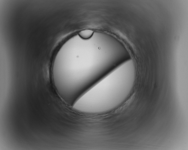 X0000099521214200805151025