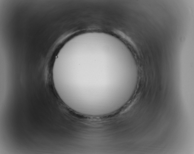 X0000099521215200805151025