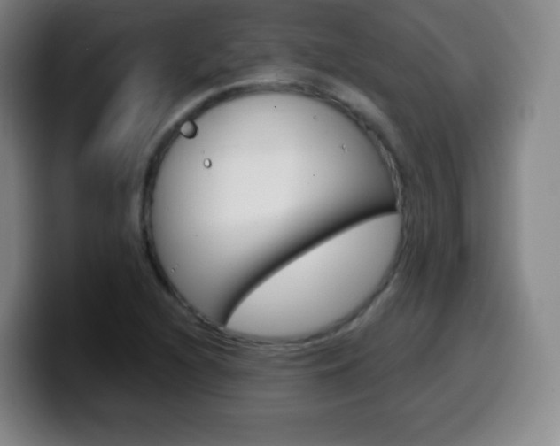X0000099521216200805151025