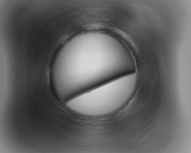 X0000099521217200805151025