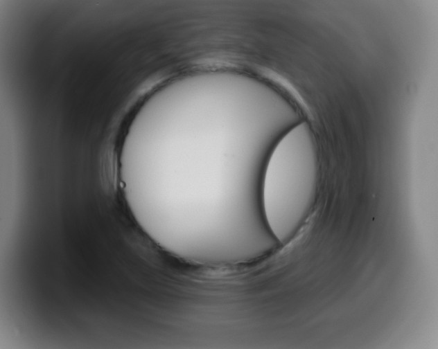 X0000099521219200805151025